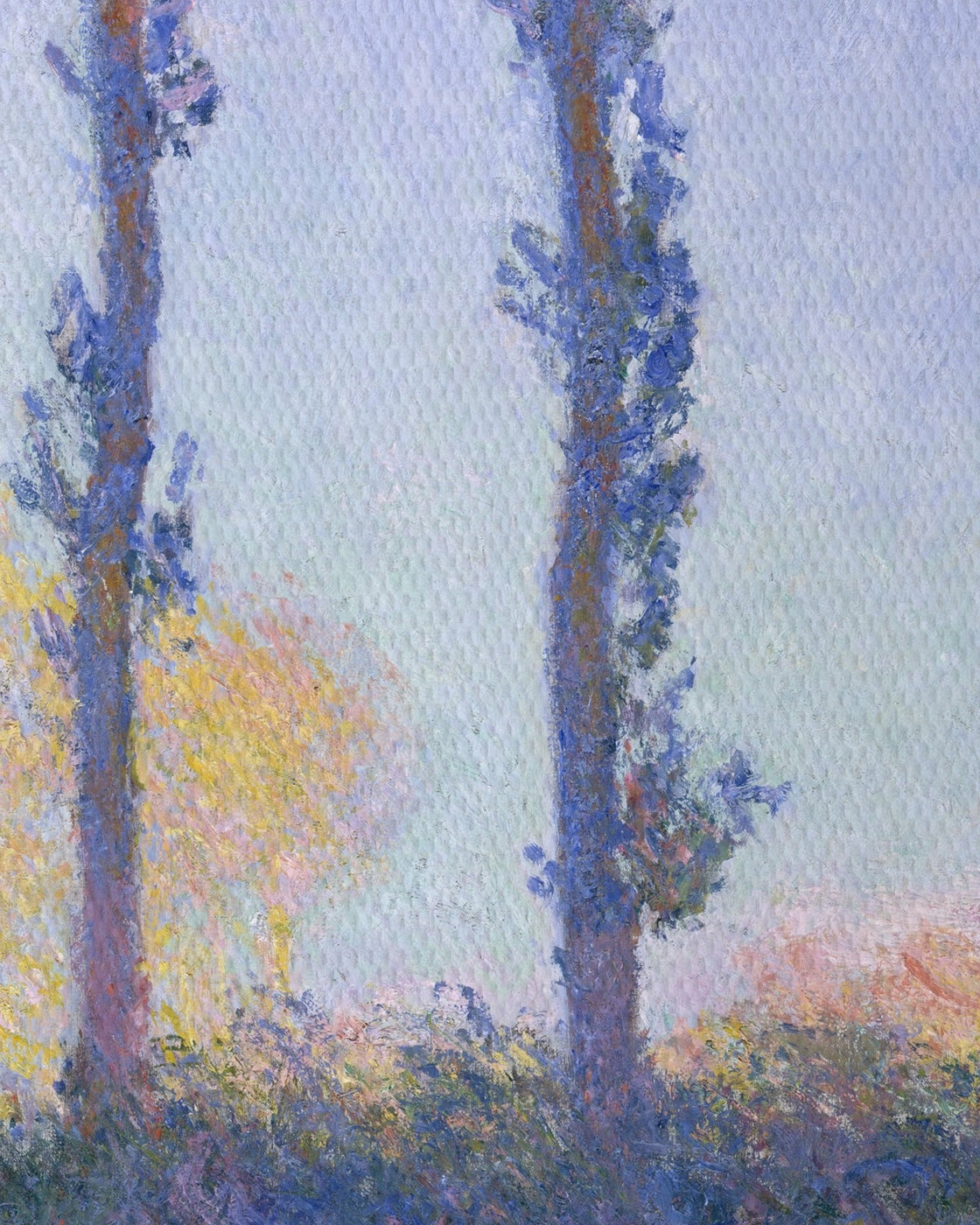 canvas
