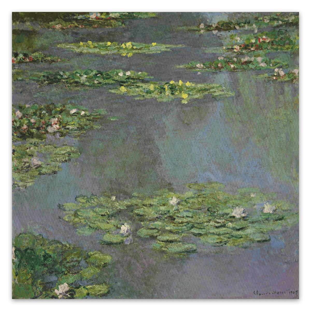 canvas