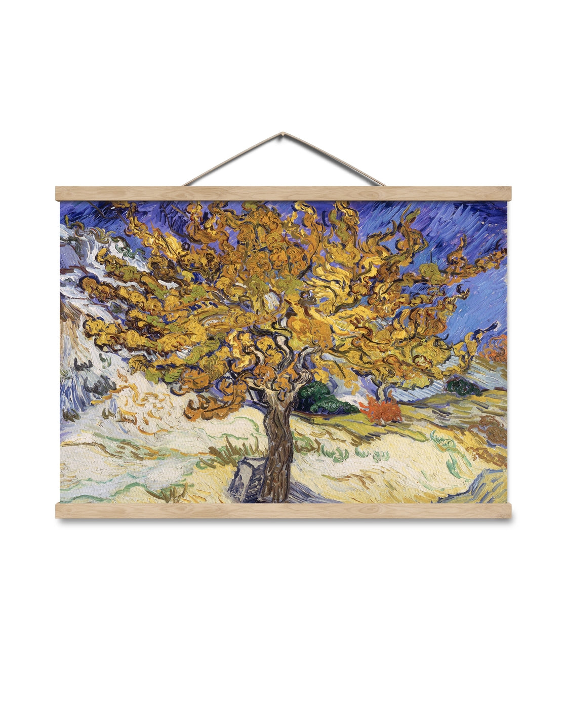 canvas