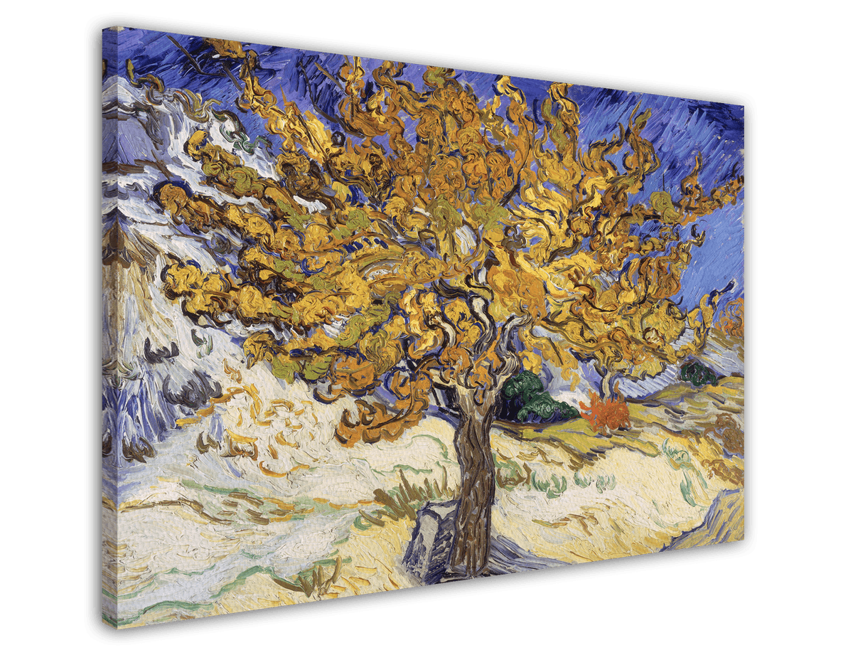 stretched-canvas