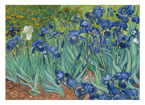 Vincent van Gogh - Schwertlilien (1889)