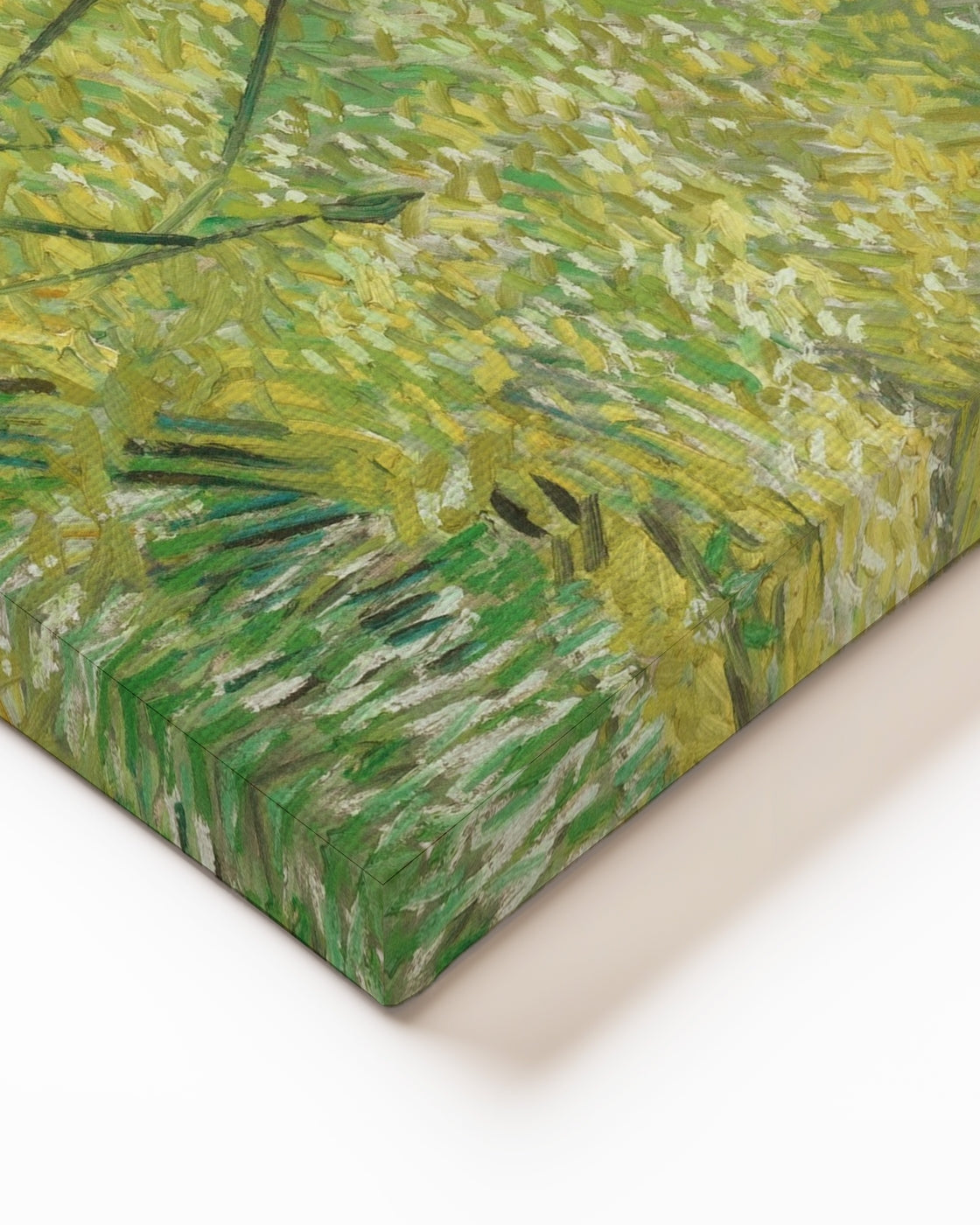 stretched-canvas