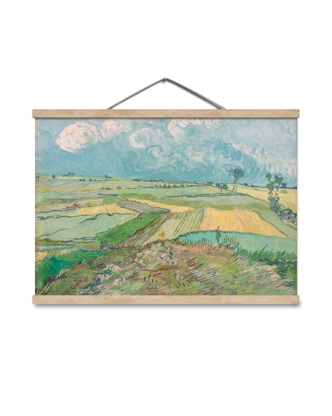 canvas