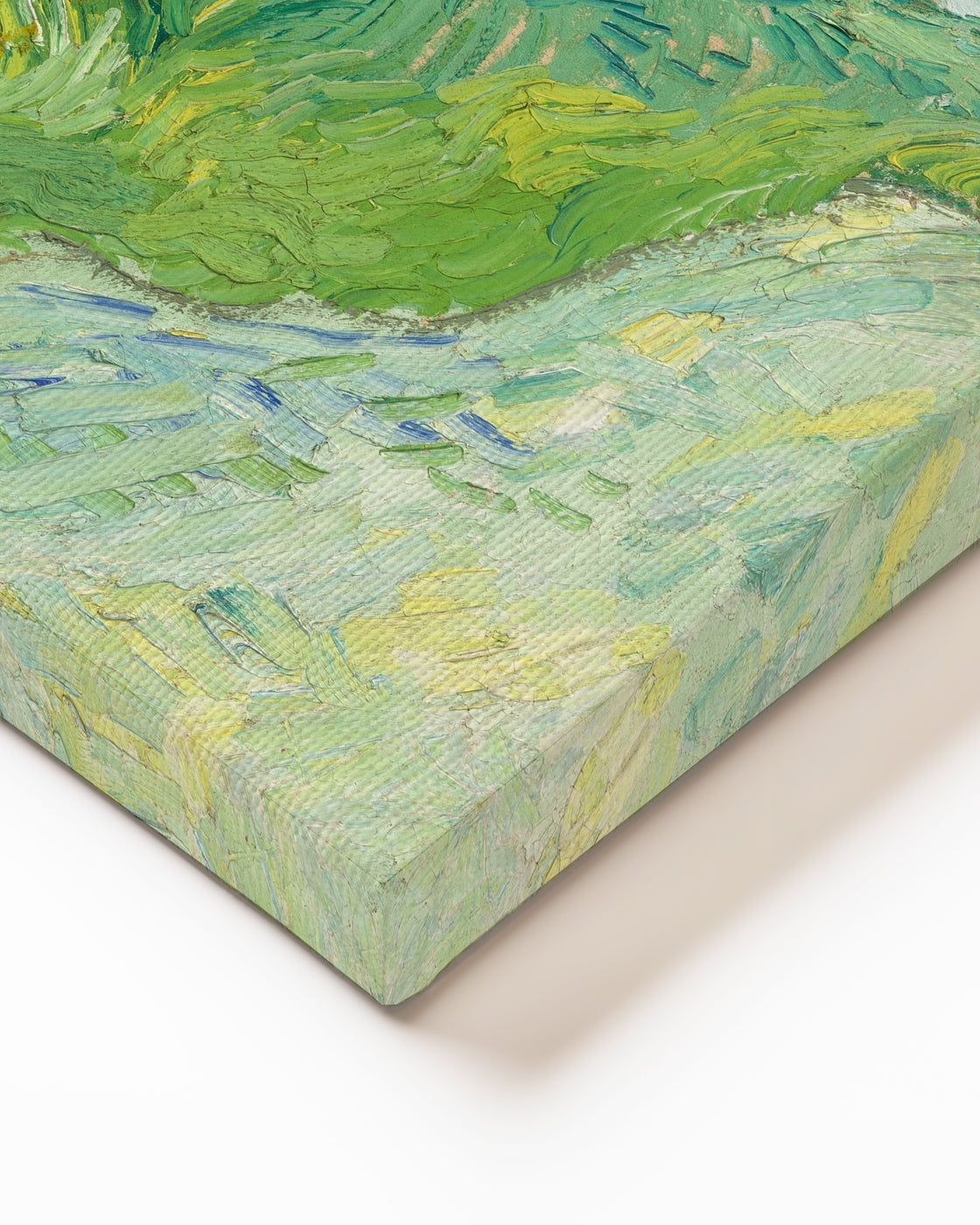 stretched-canvas