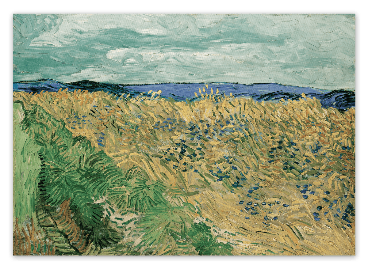 canvas
