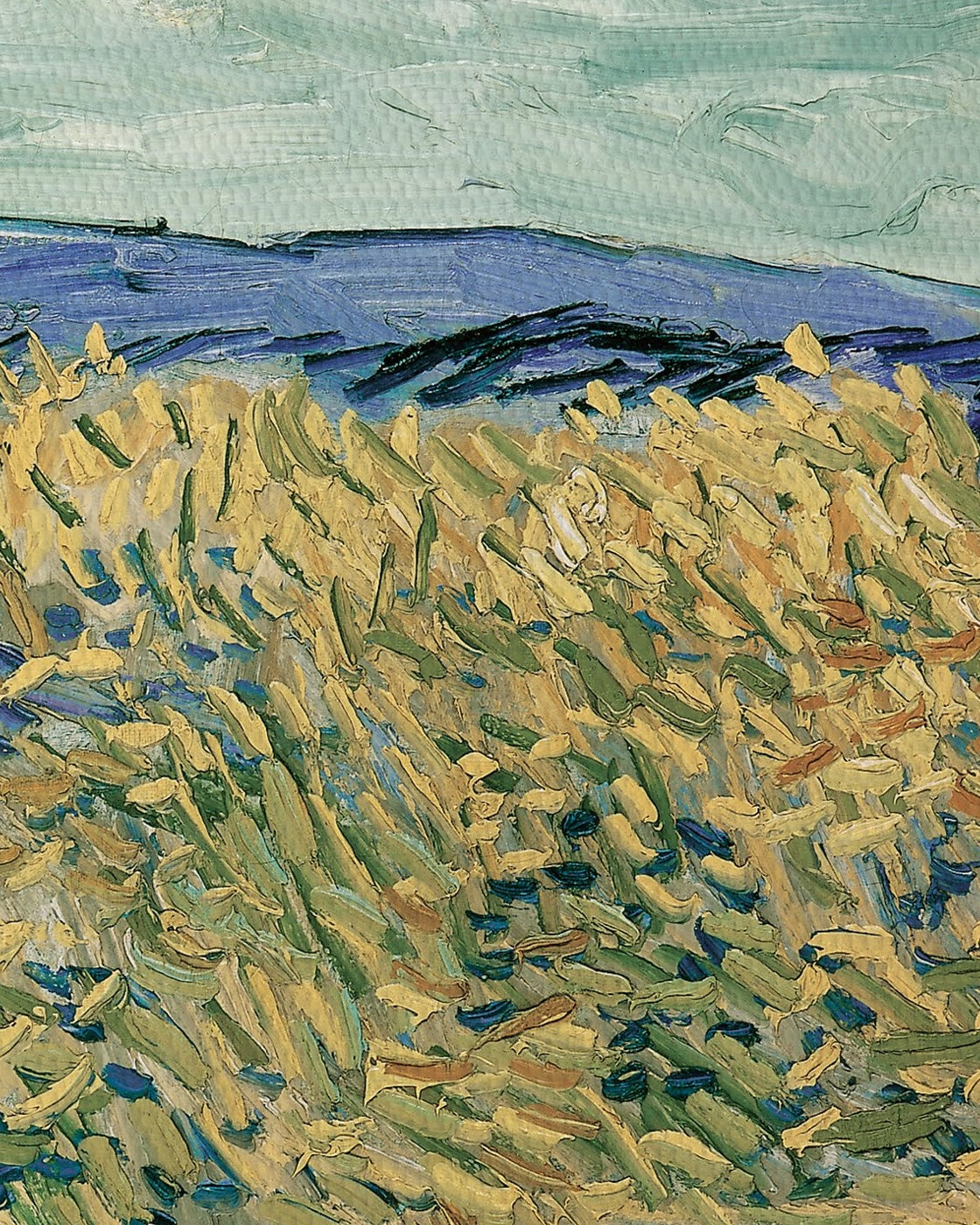canvas