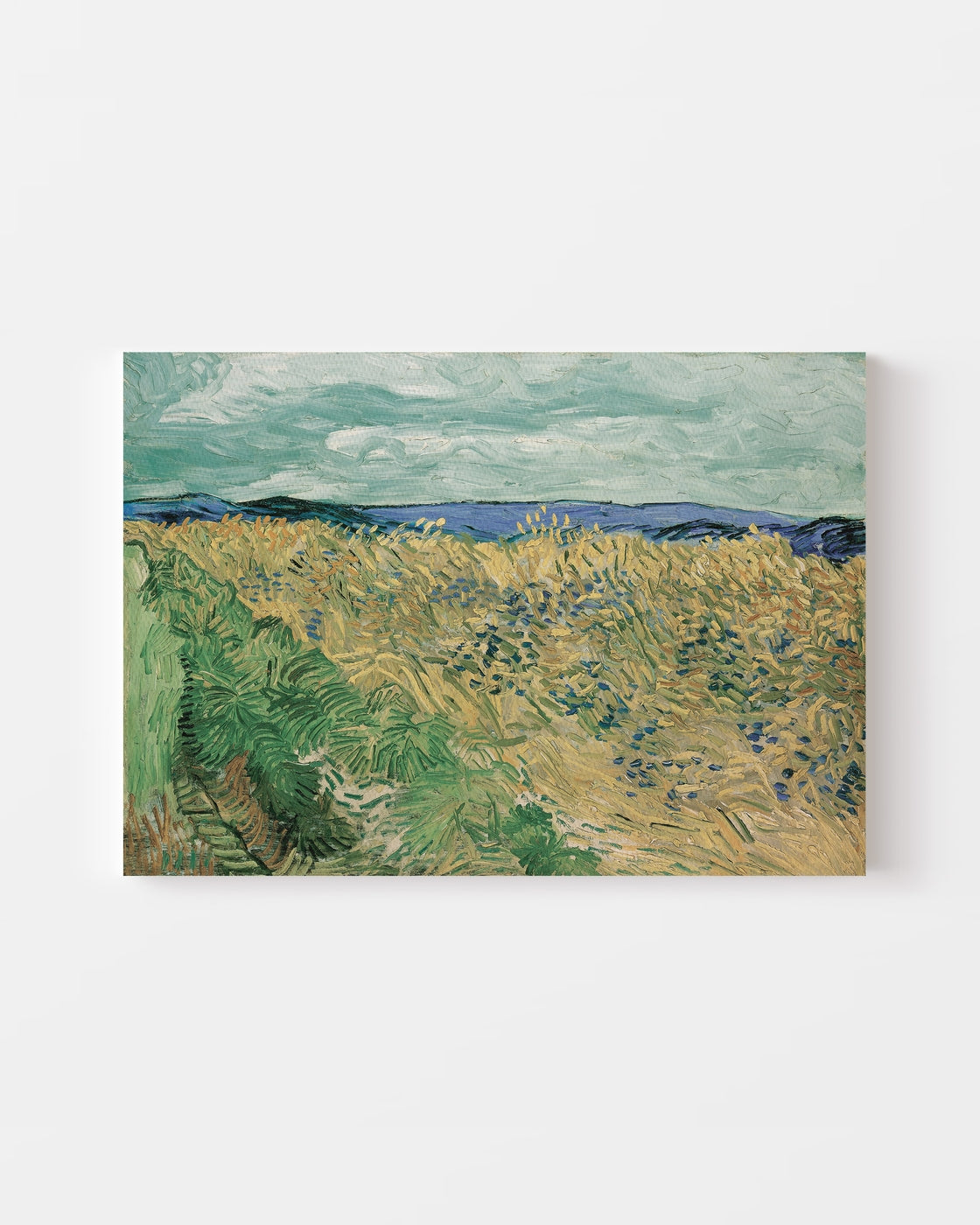 stretched-canvas
