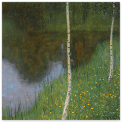 Gustav Klimt - Seeufer mit Birken (1901)