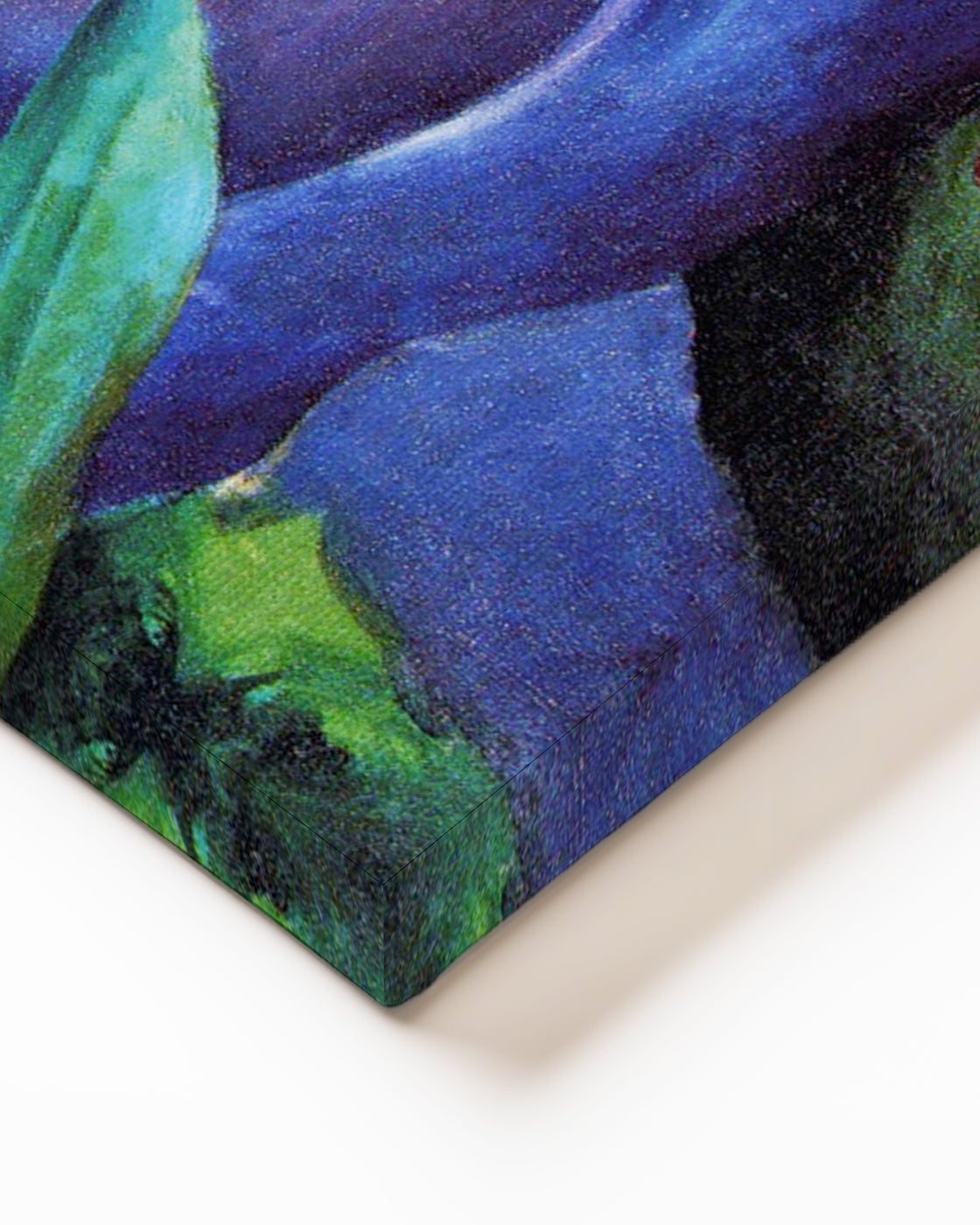 stretched-canvas