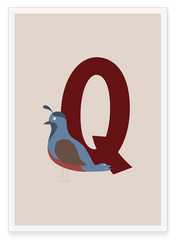 Q wie Quail, Wachtel, Englisches ABC Lernen, Süße Illustration, Buchstabe für Name, Dekoration für Zuhause