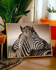 After Hover: Zebras