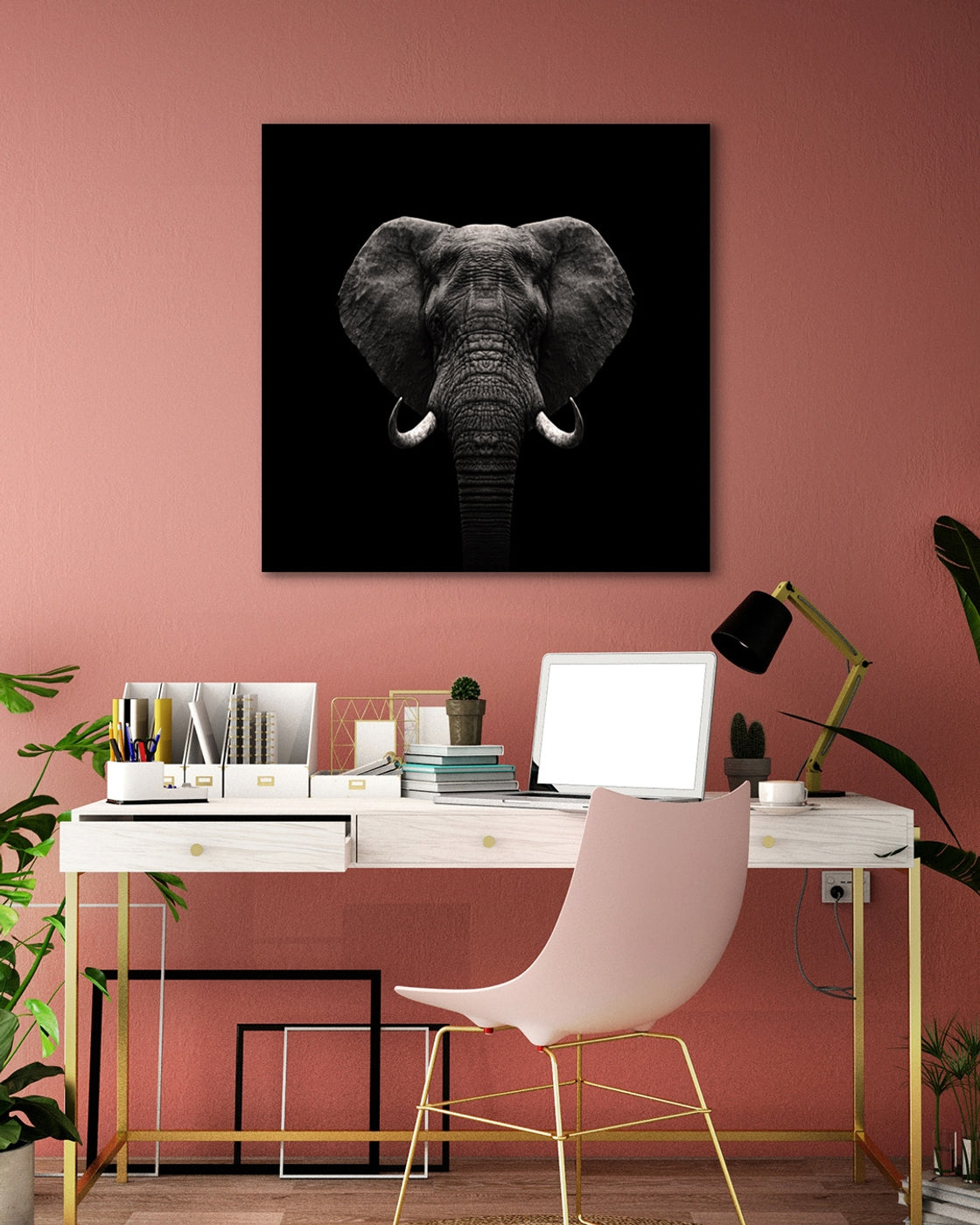stretched-canvas
