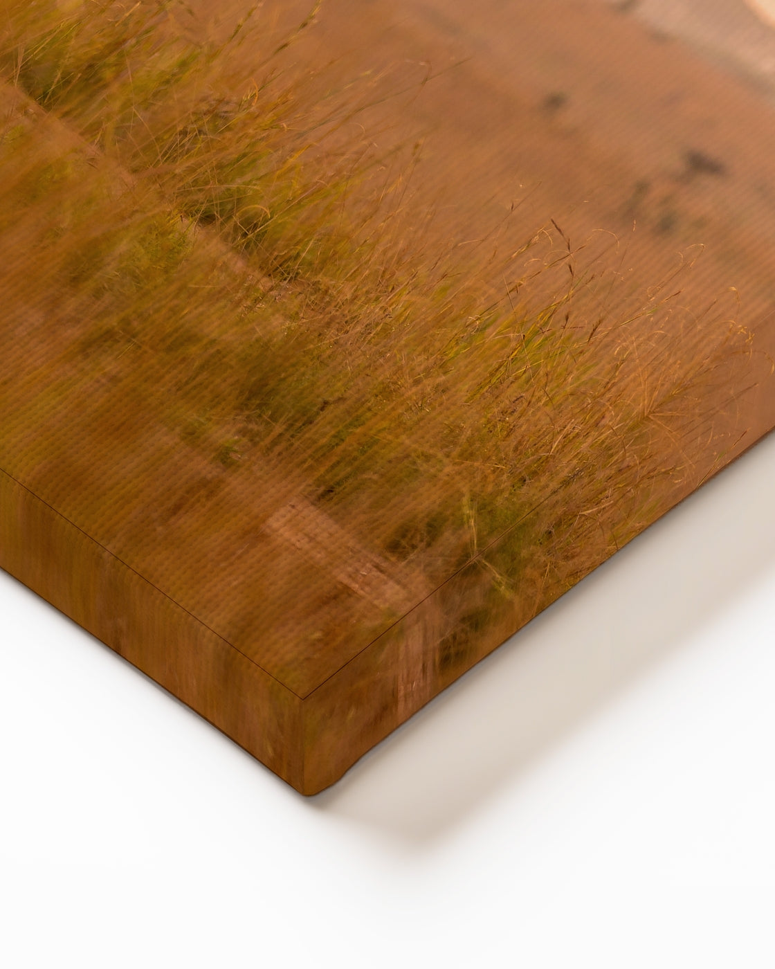 stretched-canvas