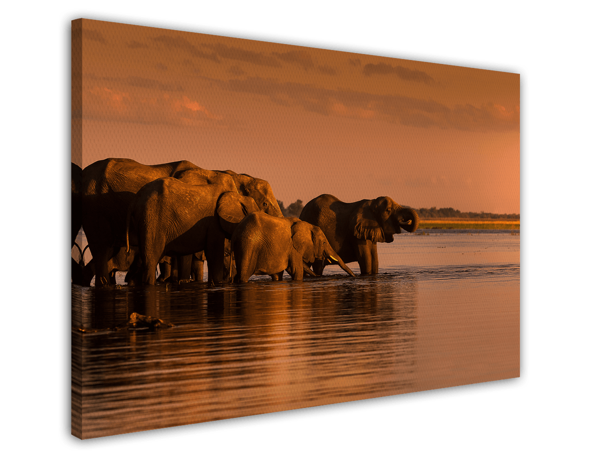 stretched-canvas
