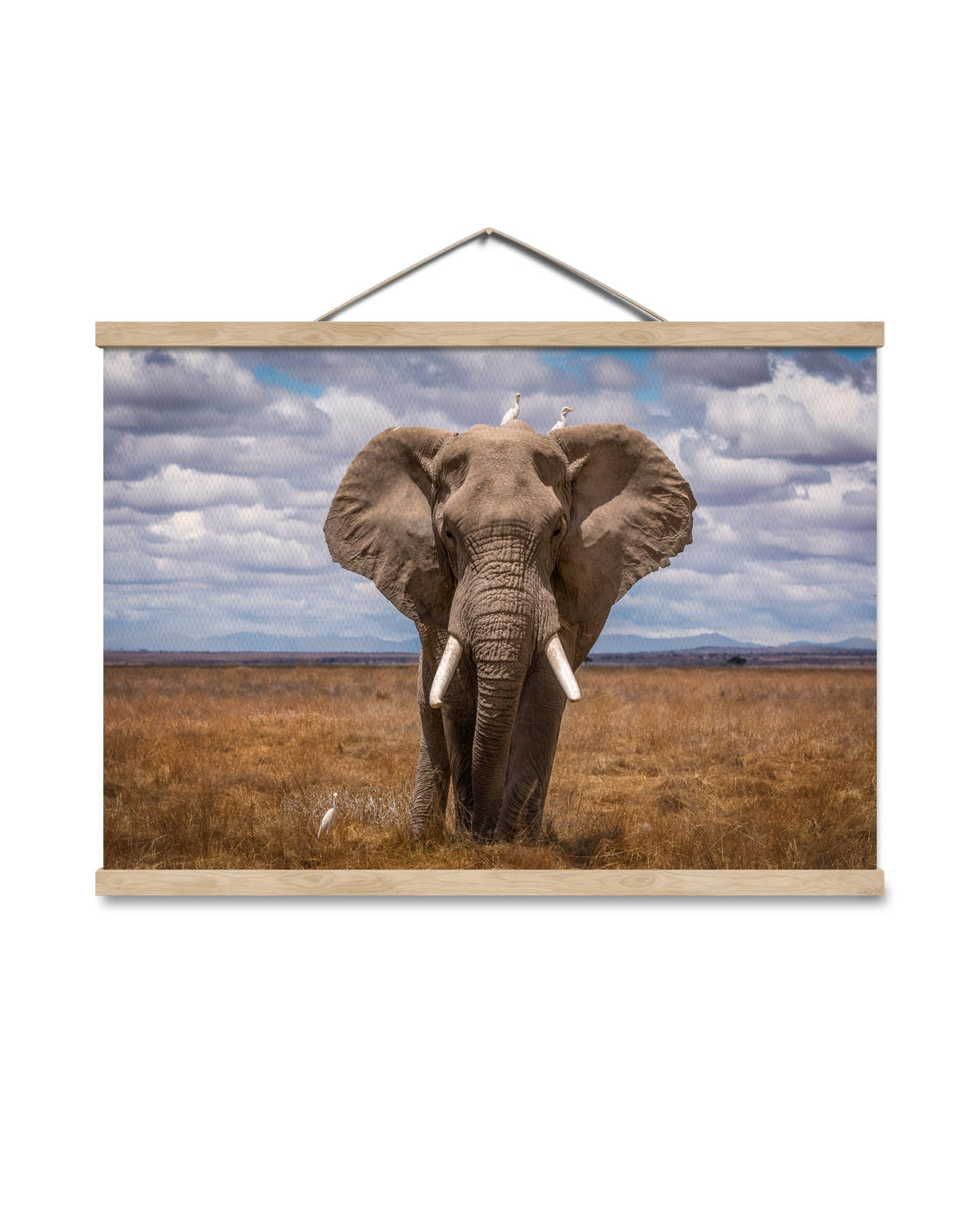 canvas