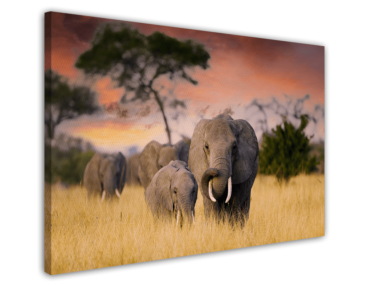 stretched-canvas