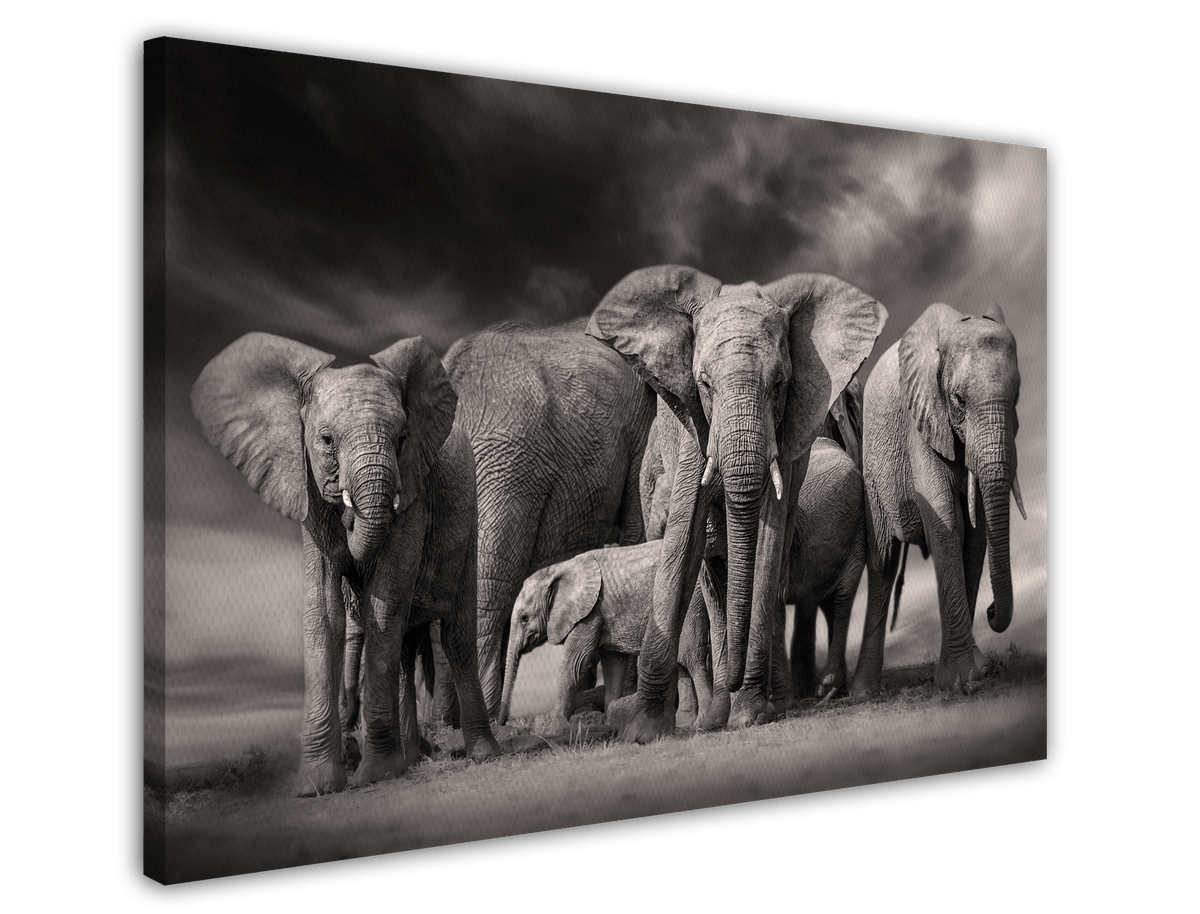 stretched-canvas