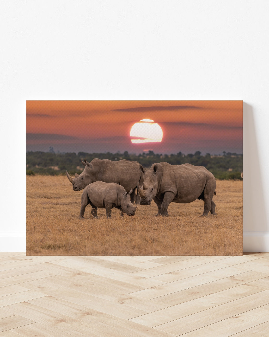 stretched-canvas