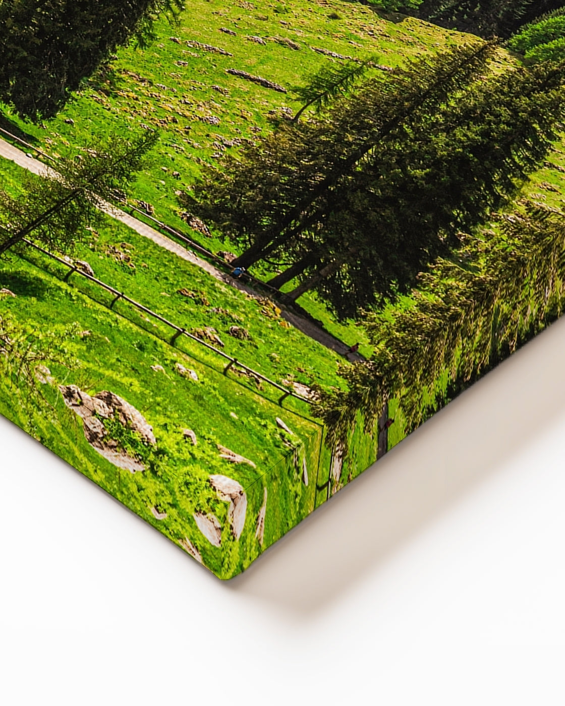 stretched-canvas
