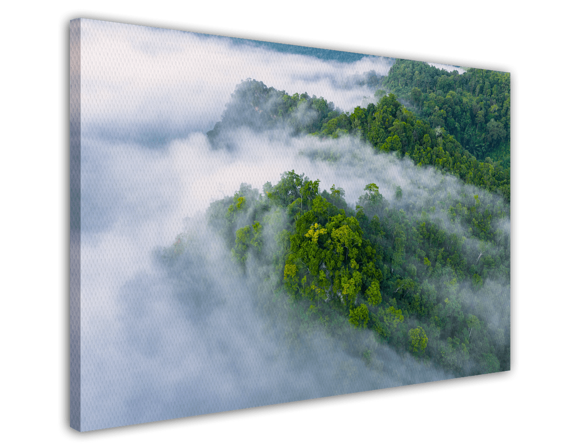stretched-canvas