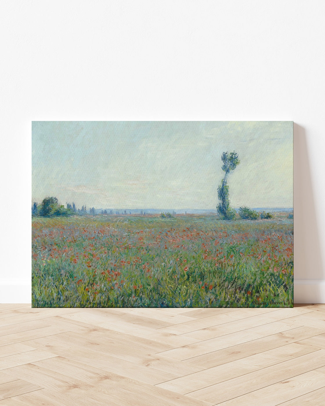 stretched-canvas