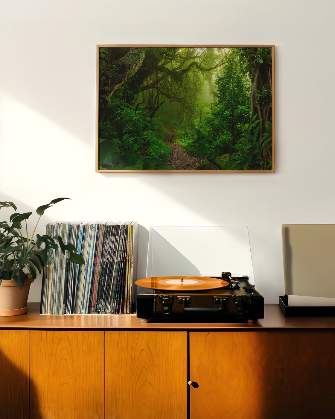 canvas