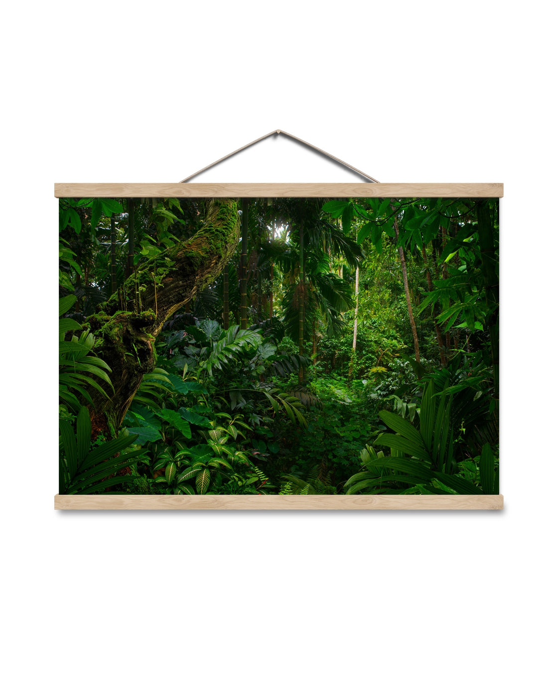 canvas