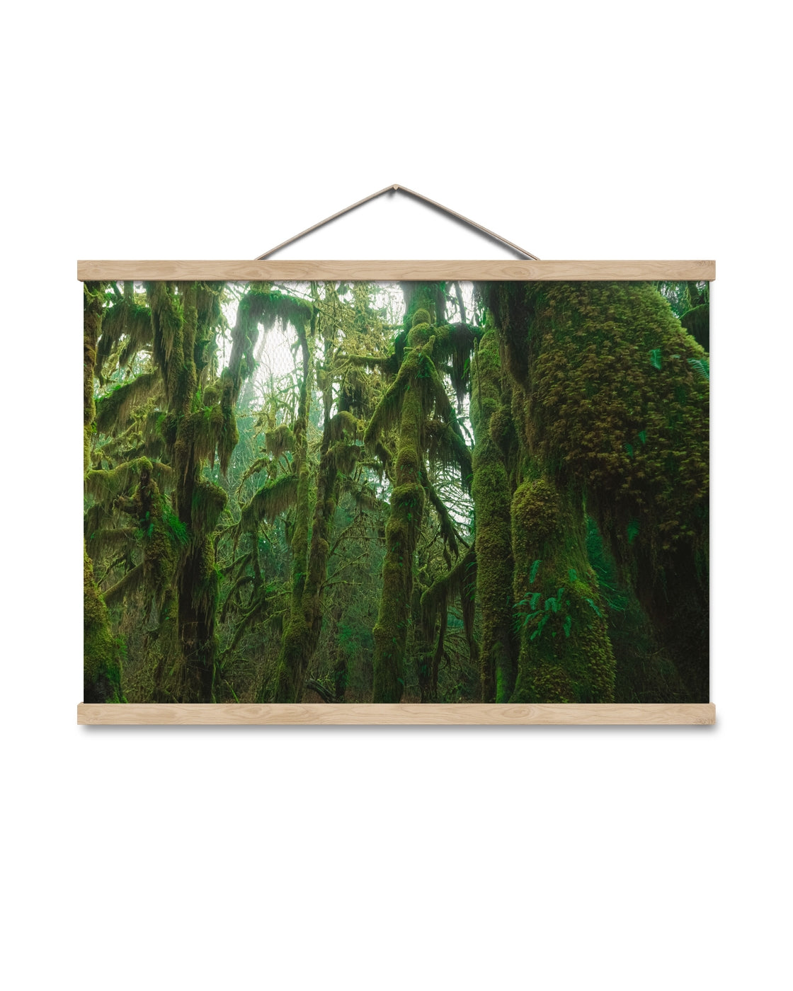 canvas