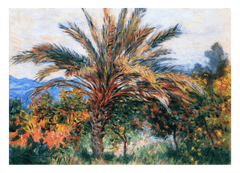 Claude Monet - Palme bei Bordighera