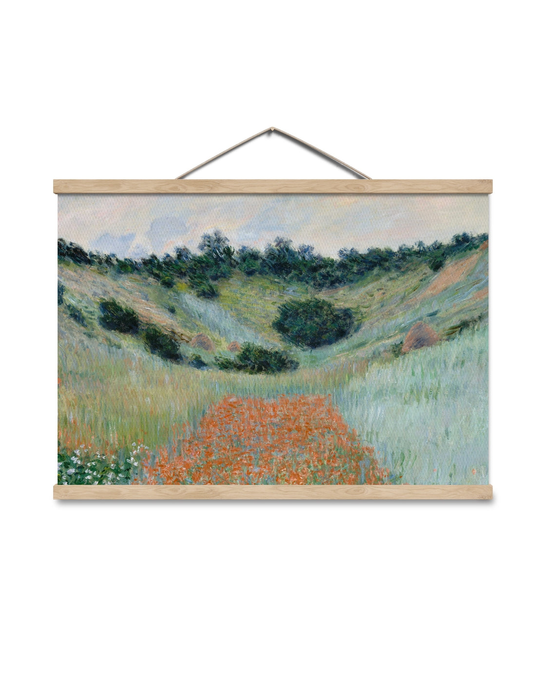 canvas