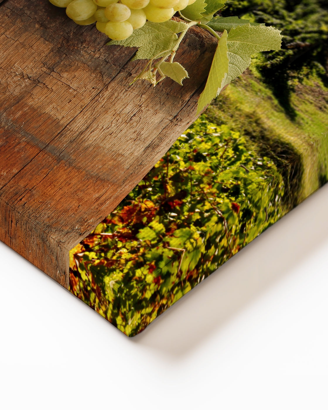 stretched-canvas