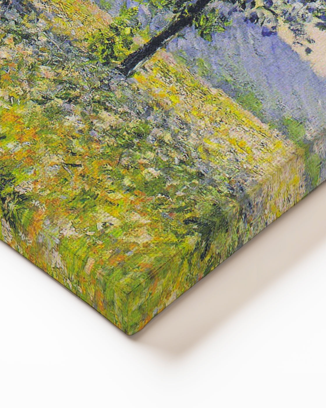 stretched-canvas