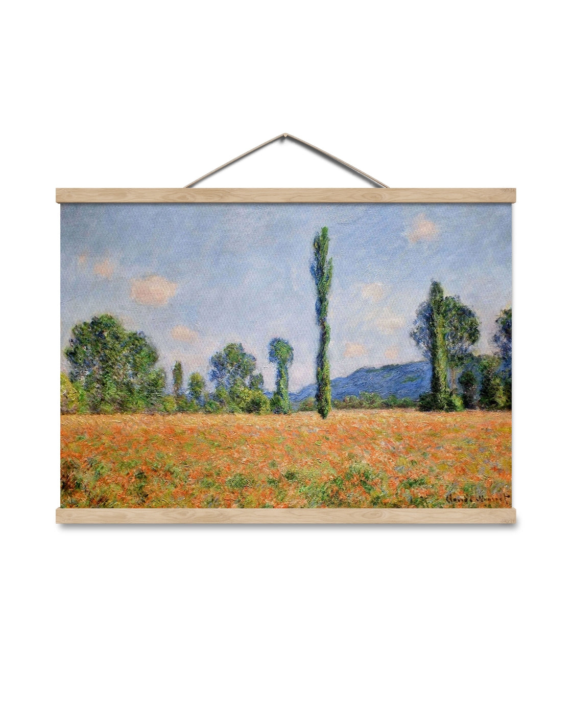 canvas