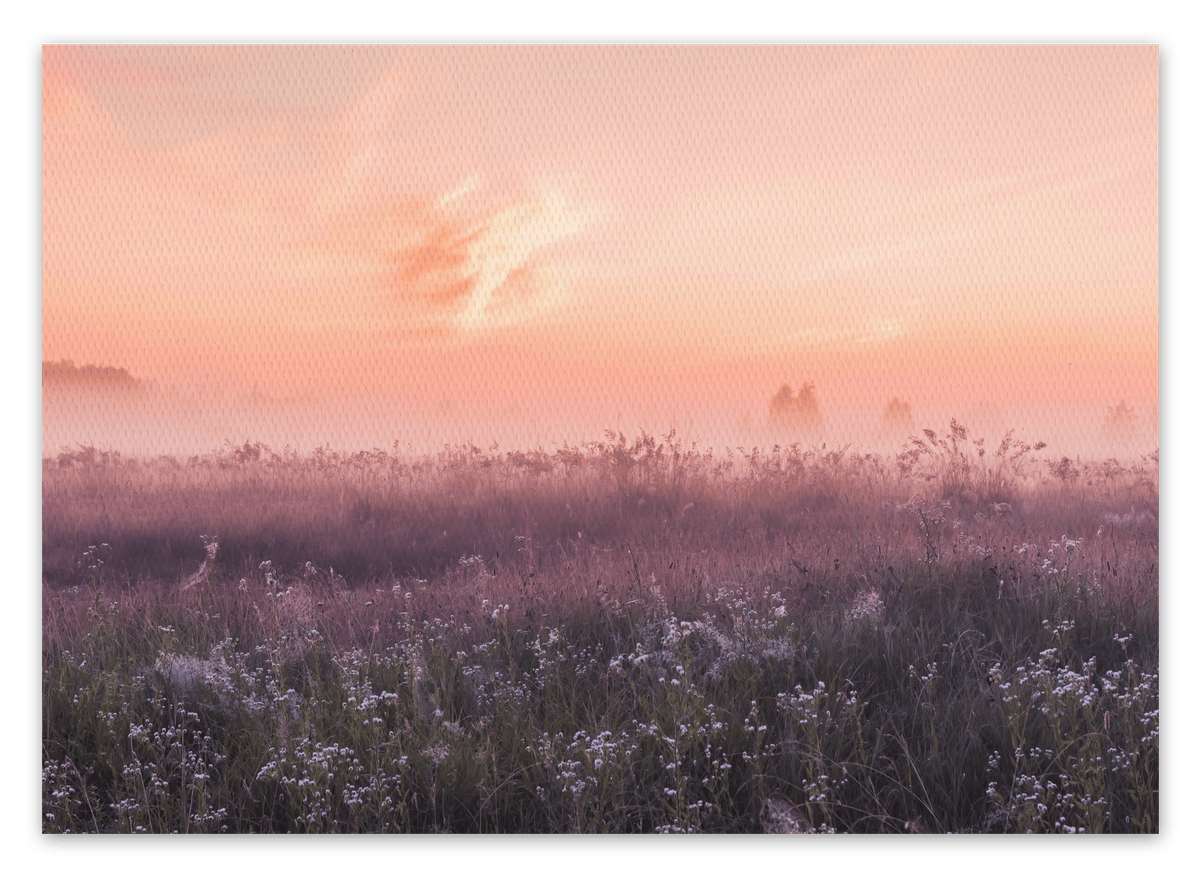 canvas