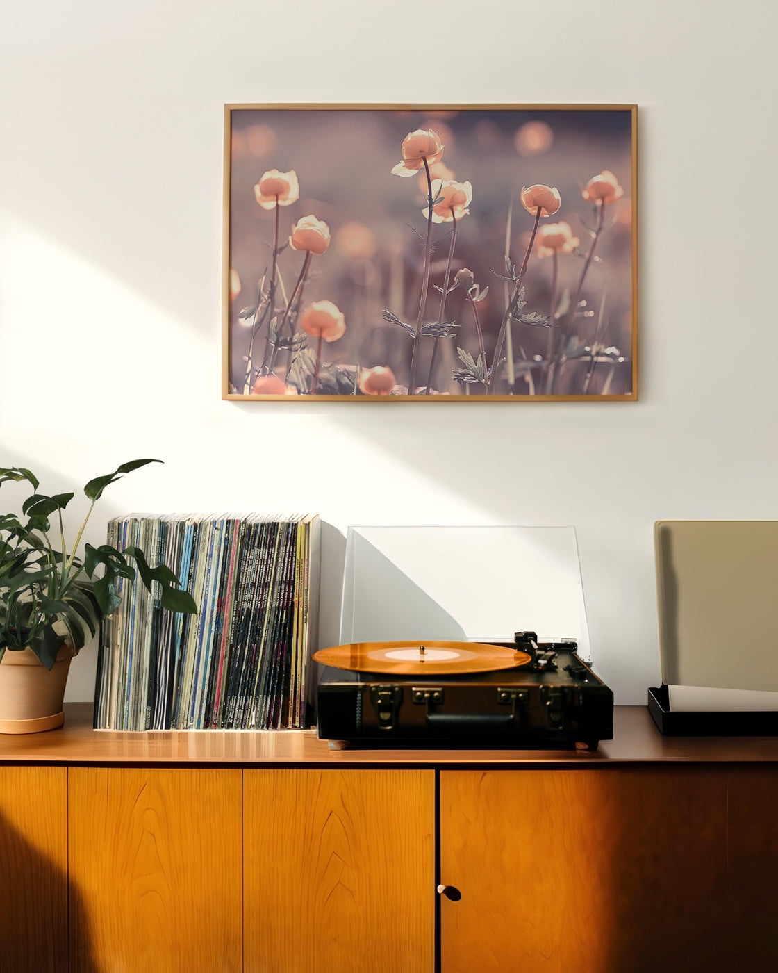 canvas