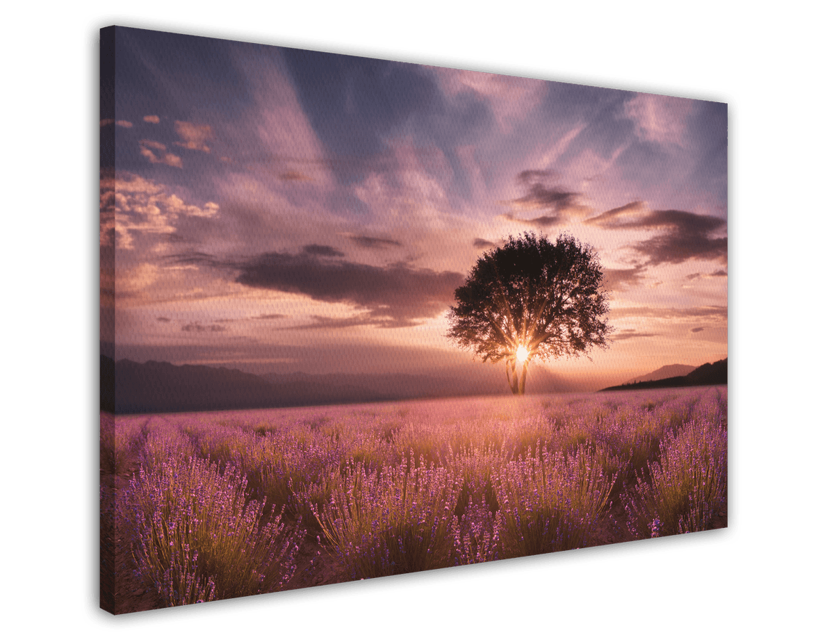 stretched-canvas