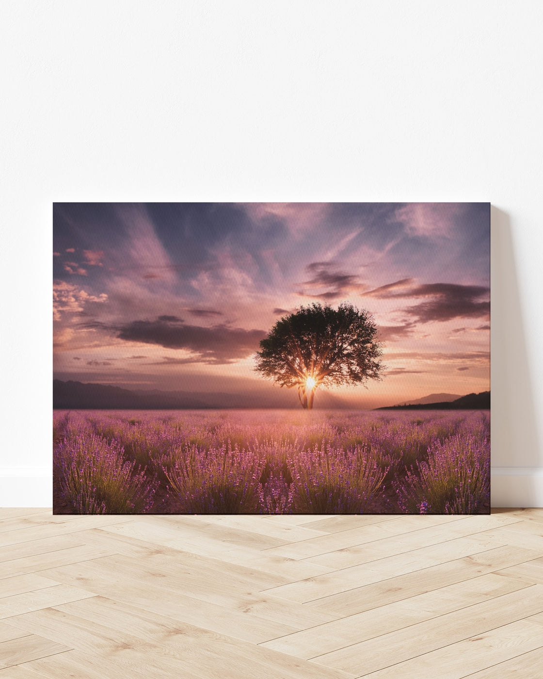 stretched-canvas