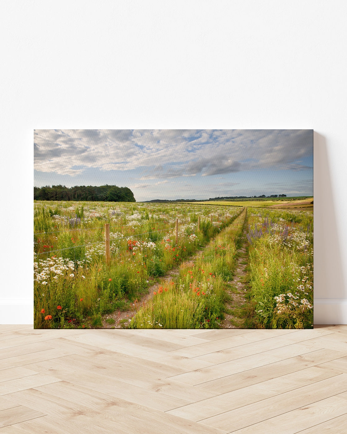 stretched-canvas