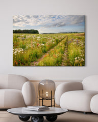 After Hover: Weg auf einer Blumenwiese
