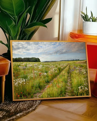 After Hover: Weg auf einer Blumenwiese