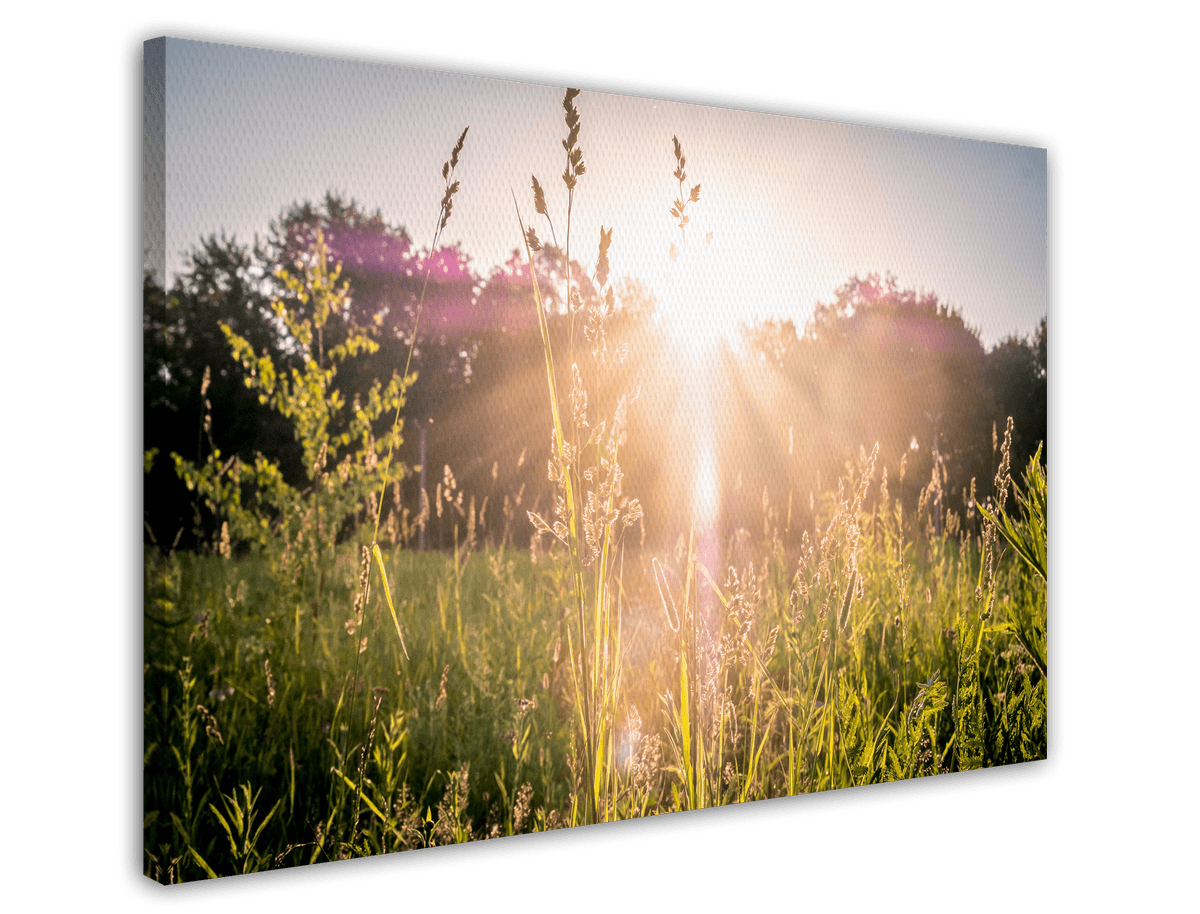 stretched-canvas