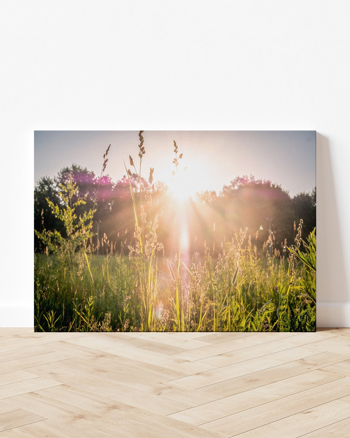stretched-canvas