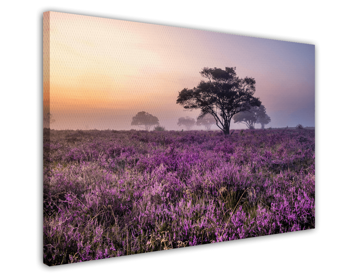 stretched-canvas