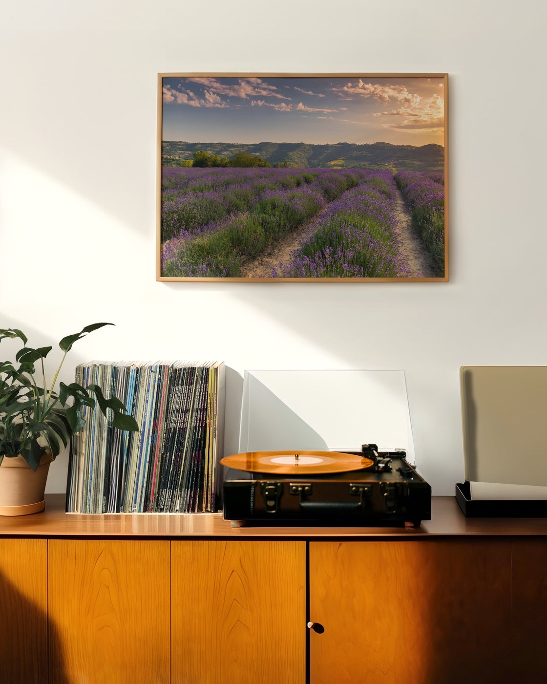 canvas