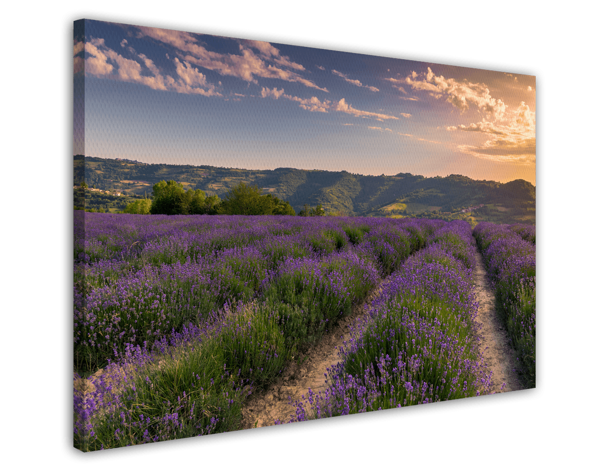 stretched-canvas