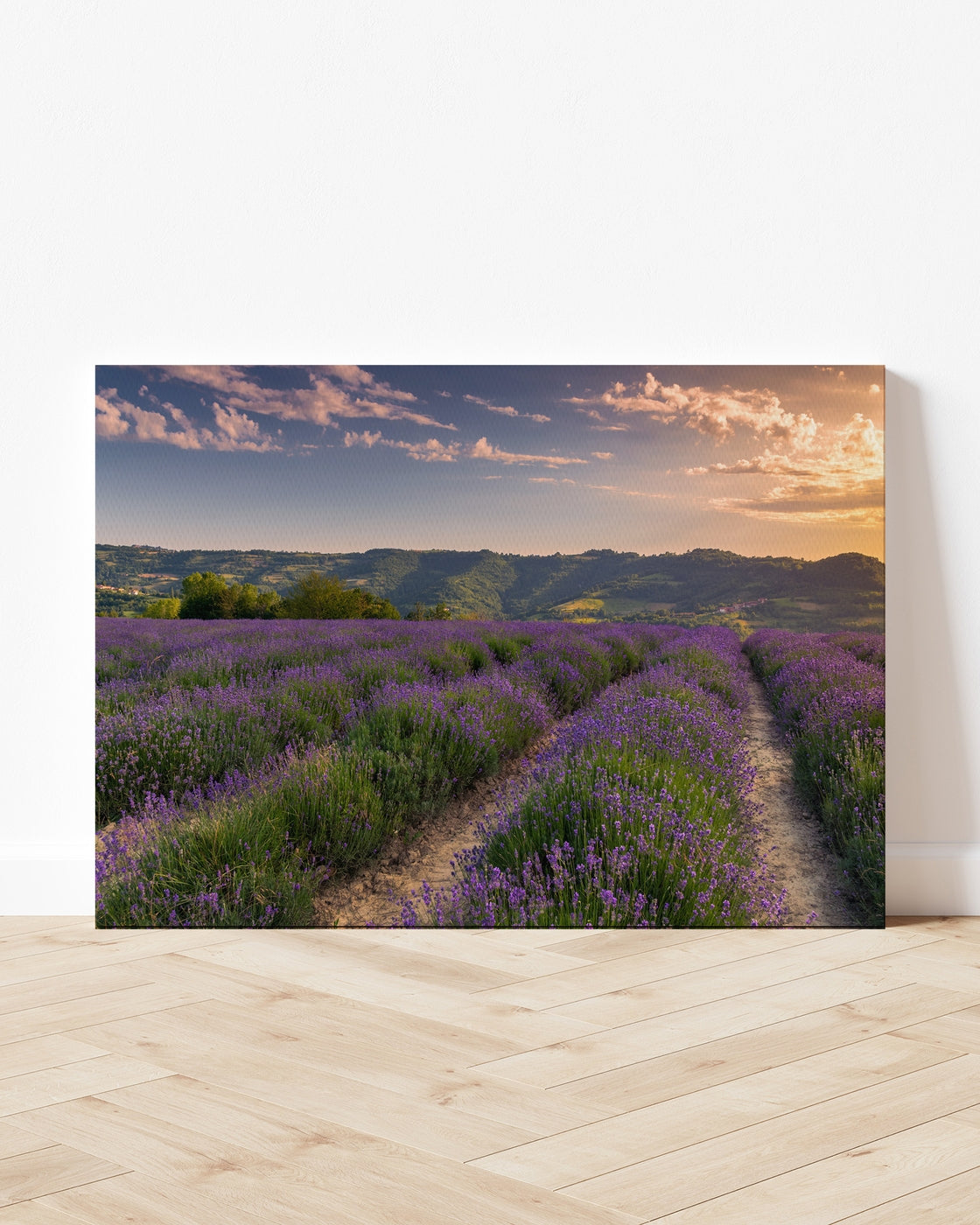 stretched-canvas