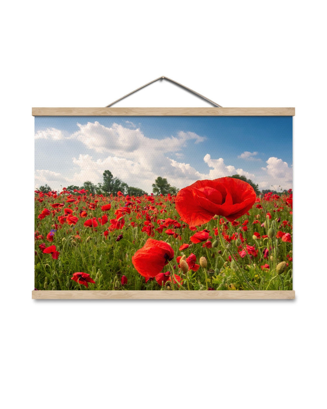 canvas