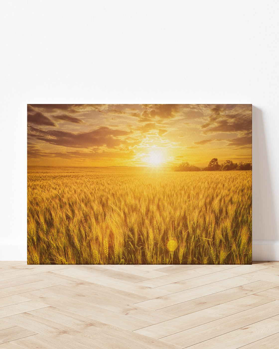 stretched-canvas
