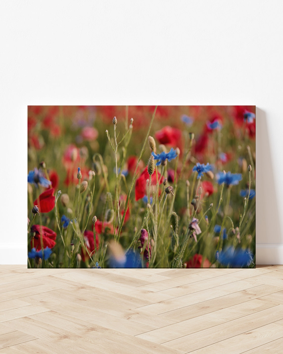 stretched-canvas