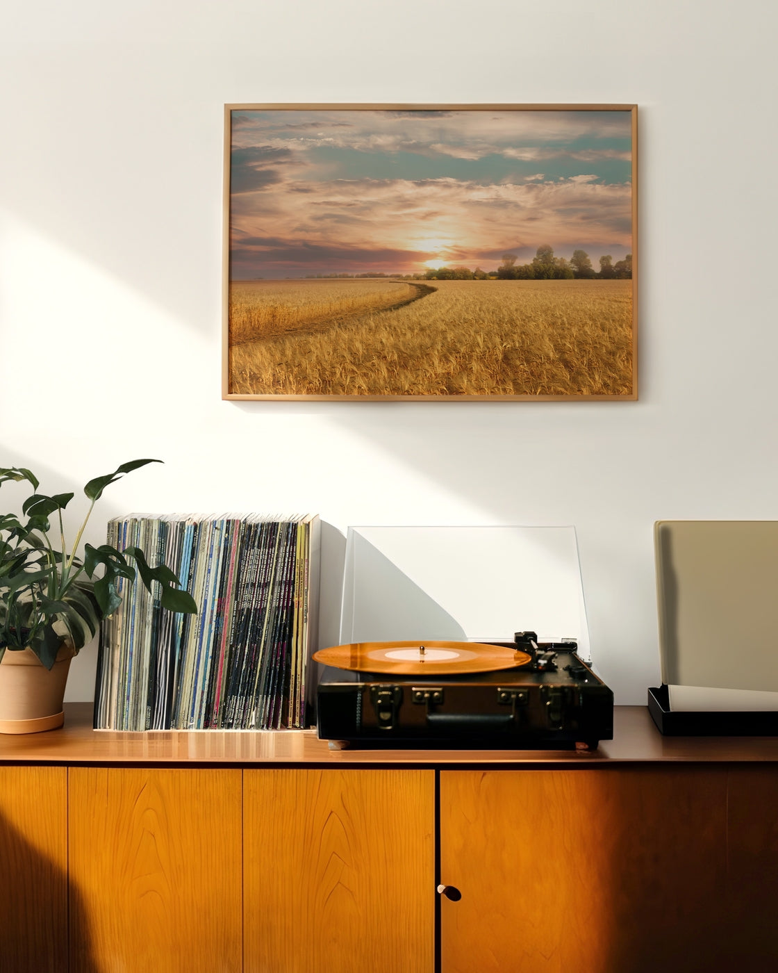 canvas